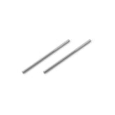 FRONT LOWER INNER PIVOT PIN (2)